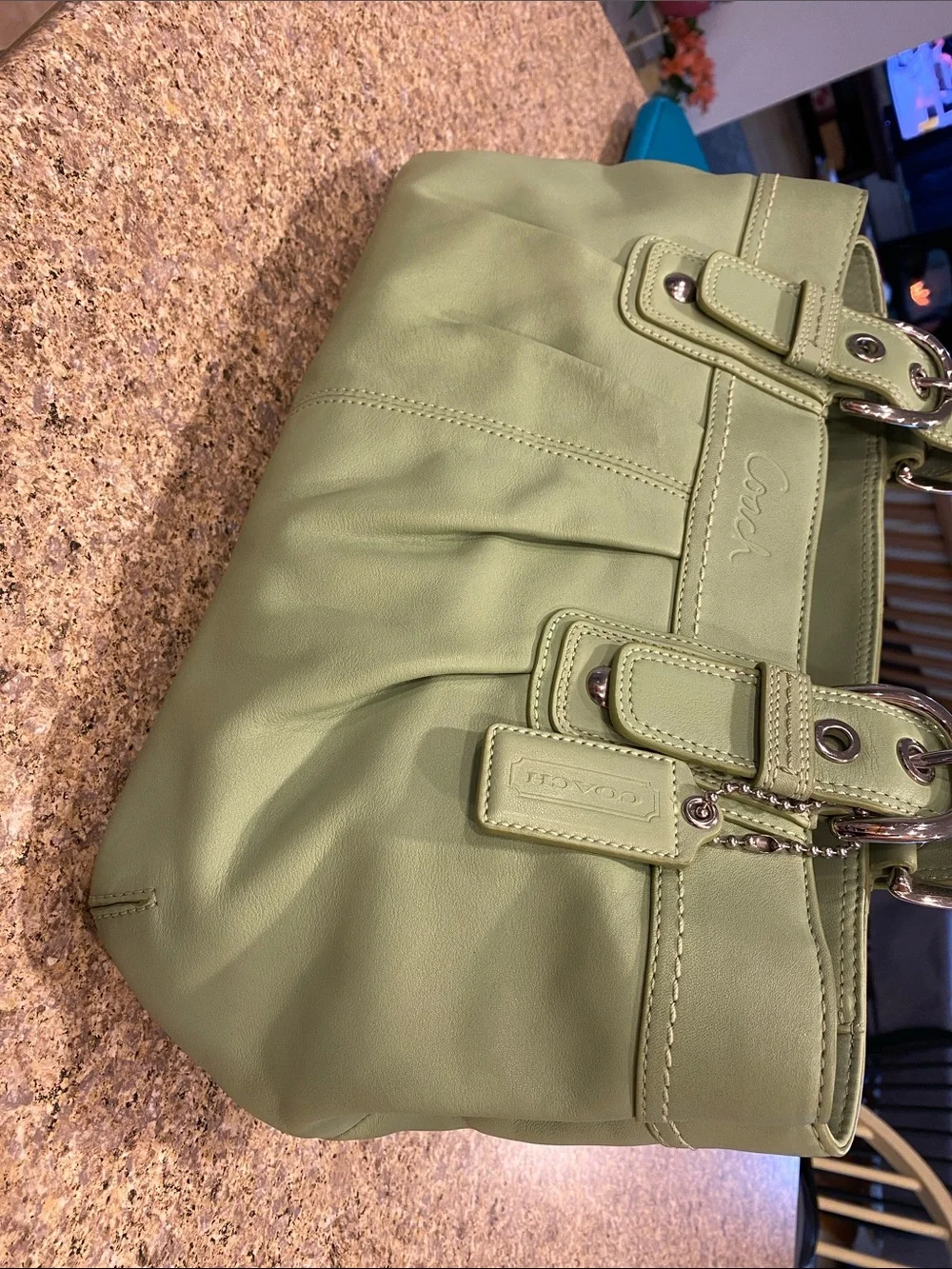 Coach Shoulder Leather Bag Purse Green F13732 Silver Colored Hardware - Picture 9 of 17